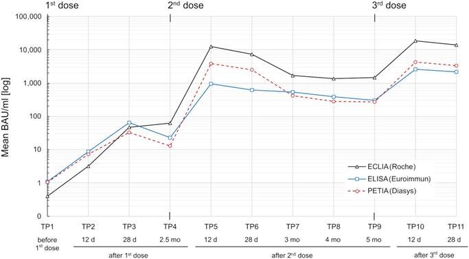 Figure 1 SARS-CoV-2 S1-specific antibody response in a heterogeneous vaccination cohort (n = 76) over 8.5 months. Serum samples were measured by three routine immunoassays: ECLIA (Roche; black line), ELISA (Euroimmun; blue line), and PETIA (Diasys; red dotted line). Mean binding antibody units per milliliter (BAU/ml) for each time point (TP1–TP11) are plotted in logarithmic scale. Aus <https://www.frontiersin.org/articles/10.3389/fimmu.2023.1257265/full>